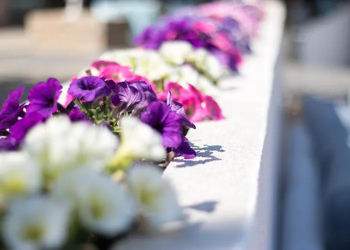 Hotel Bellevue Saint Tropez