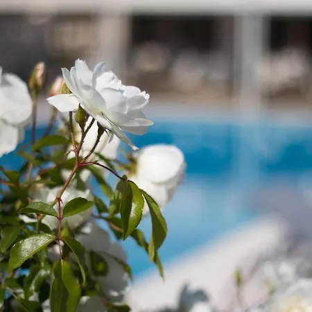 Bellevue 4* Сен-Тропе